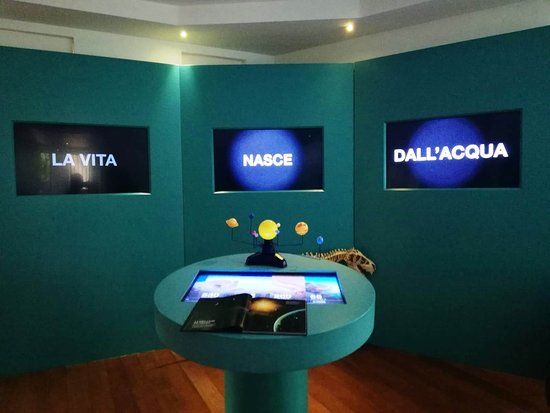 Acquario Multimediale di Diamante